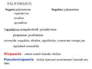Õis-mitoos-meioos-paljunemine #4