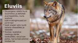 HUNT - välimus-eluviis #3