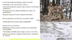 HUNT - välimus-eluviis #4