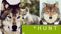 HUNT - välimus-eluviis