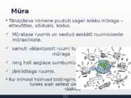 Tervislik töökeskkond #8