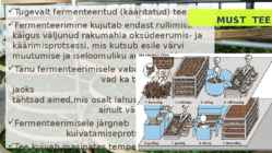 Tee-tee liigid ja sordid #2