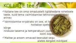 Tee-tee liigid ja sordid #13