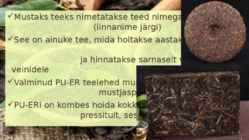 Tee-tee liigid ja sordid #3