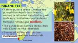 Tee-tee liigid ja sordid #7