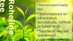 Tee-tee liigid ja sordid #10