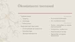 Ökosüsteem - loopealsed ehk alvarid #4