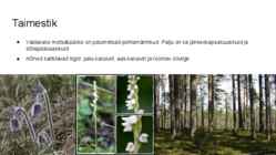 Palumaa maastikurajoon-Eesti Loodusgeograafia #11