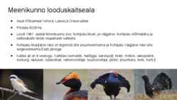 Palumaa maastikurajoon-Eesti Loodusgeograafia #6