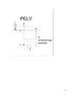 SELV-PELV JA FELV #8