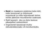 Pedosfäär-mulla profiil #2