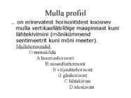 Pedosfäär-mulla profiil #11