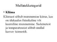 Pedosfäär-mulla profiil #14
