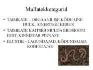 Pedosfäär-mulla profiil #19