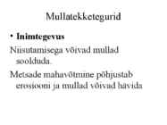 Pedosfäär-mulla profiil #21