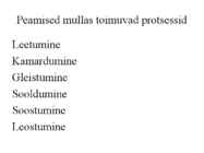 Pedosfäär-mulla profiil #22