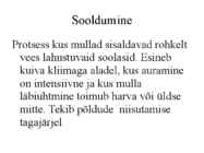 Pedosfäär-mulla profiil #26
