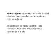 Pedosfäär-mulla profiil #4