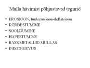 Pedosfäär-mulla profiil #31