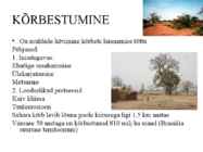Pedosfäär-mulla profiil #36