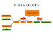 Pedosfäär-mulla profiil #5