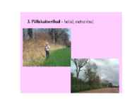 Pedosfäär-mulla profiil #45