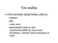 Pedosfäär-mulla profiil #9