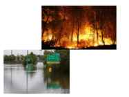 Climate change #8