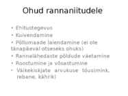Rannaniit-Matsalu #12