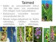 Rannaniit-Matsalu #4