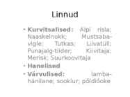 Rannaniit-Matsalu #5