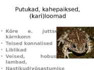 Rannaniit-Matsalu #7
