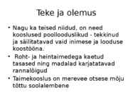 Rannaniit-Matsalu #10