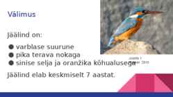 JÄÄLIND #2