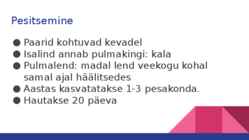 JÄÄLIND #4