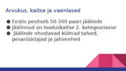 JÄÄLIND #6