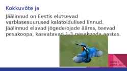 JÄÄLIND #8