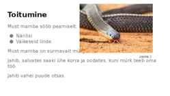 Must Mamba-Dendroaspis polylepis #4
