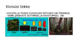 Kivisüsi ja selle teke #2