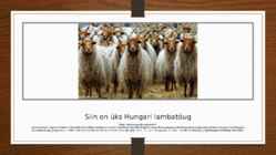 Ungari loodus #12