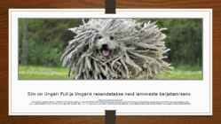 Ungari loodus #13