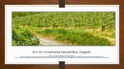 Ungari loodus #5