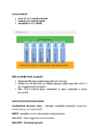 Turunduse alused #14