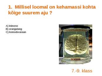 Viktoriin #2