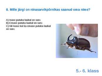 Viktoriin #17