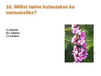 Viktoriin #20