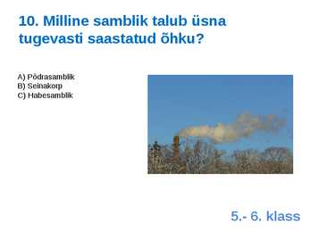 Viktoriin #21
