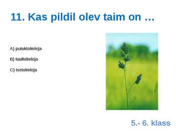 Viktoriin #23