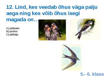 Viktoriin #25