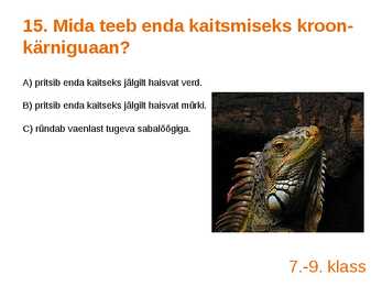 Viktoriin #30